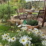 Oasis In Pjescana Uvala, 2 Min From The Sea Appartement