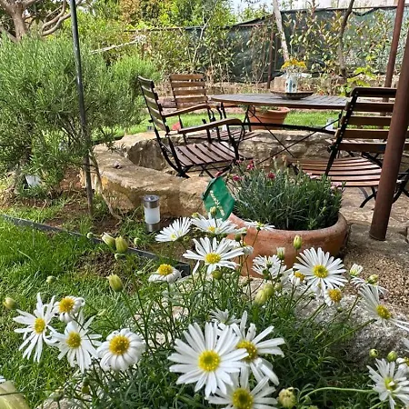 Oasis In Pjescana Uvala, 2 Min From The Sea דירה